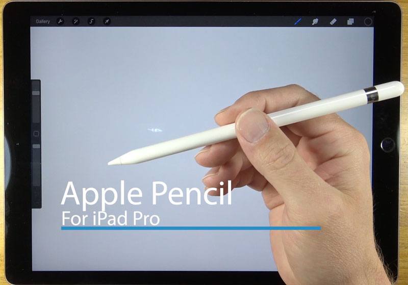 苹果与生育应用铅笔