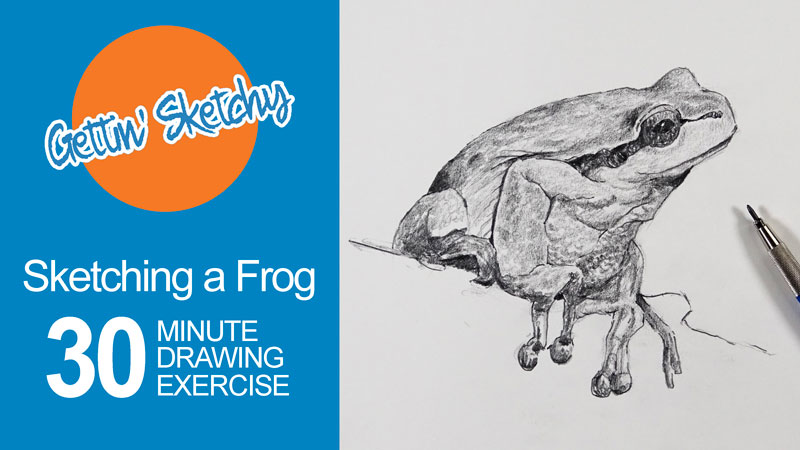 画一只青蛙