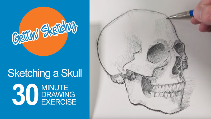 素描一个头骨,30分钟的锻炼