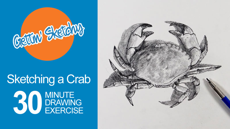 定时绘画练习——螃蟹