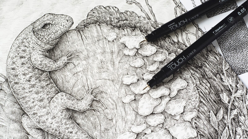 如何用钢笔和墨水画蜥蜴