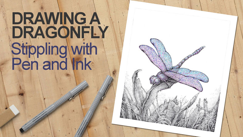 如何用钢笔和墨水画一只蜻蜓吗