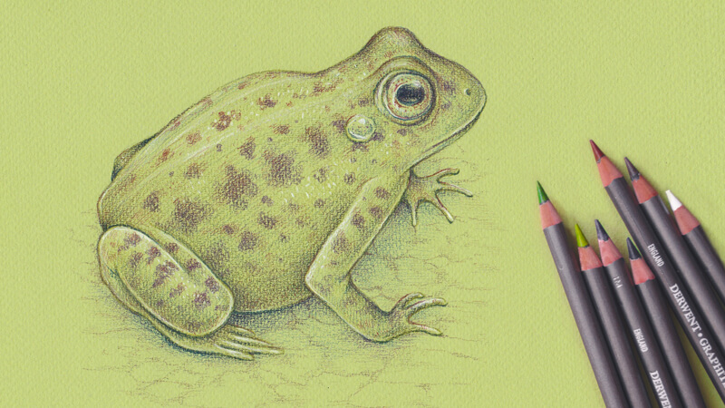 如何用石墨笔画青蛙