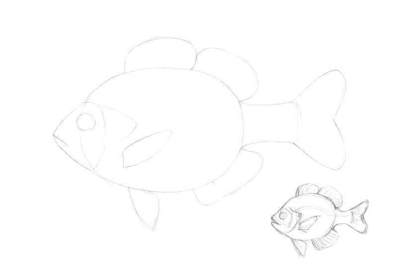 画一条鱼