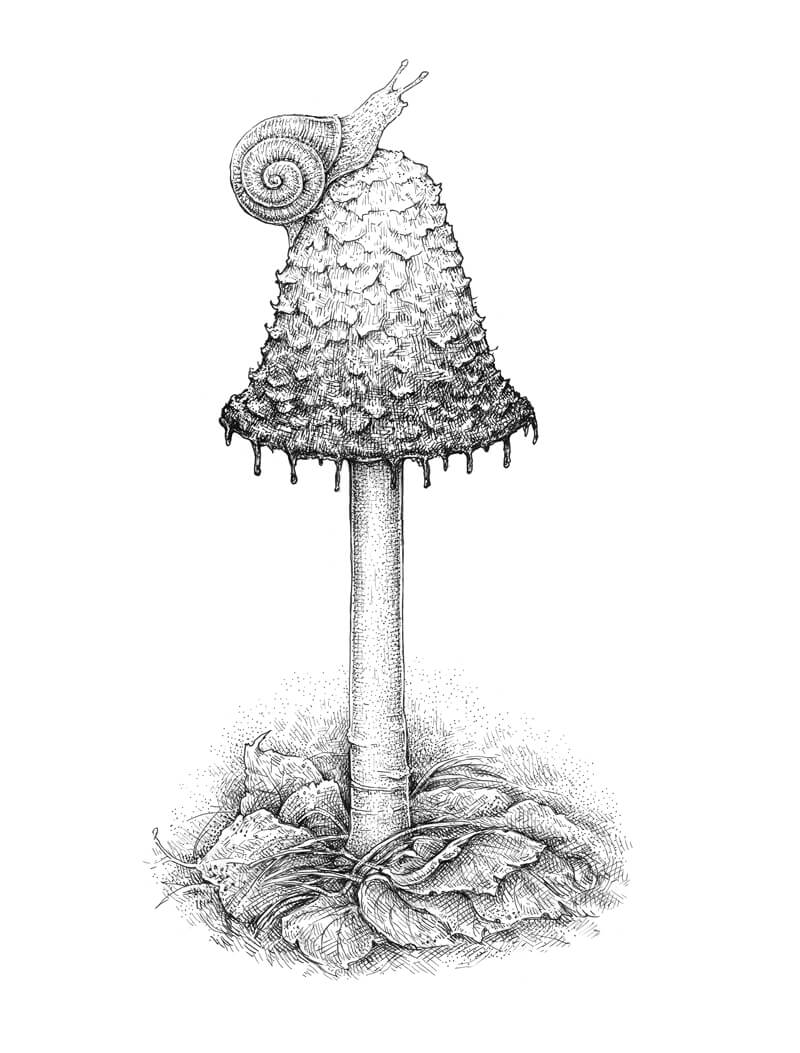 笔墨蘑菇画