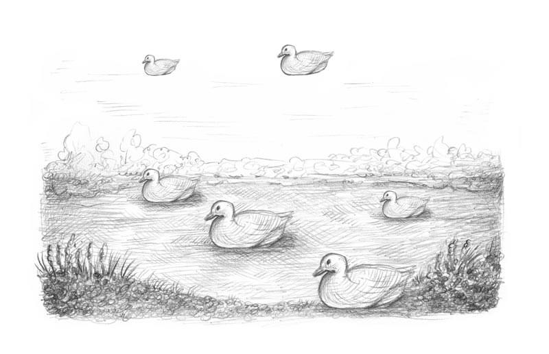 鸭子在池塘里绘画