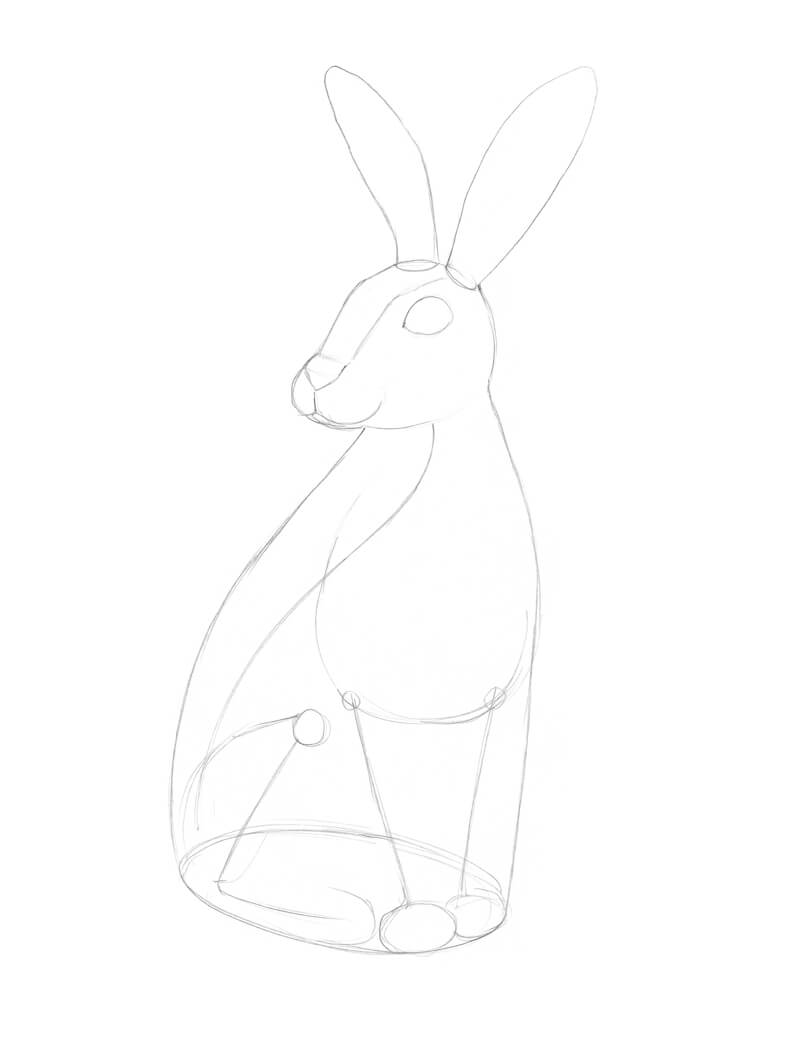 精炼兔子的铅笔素描