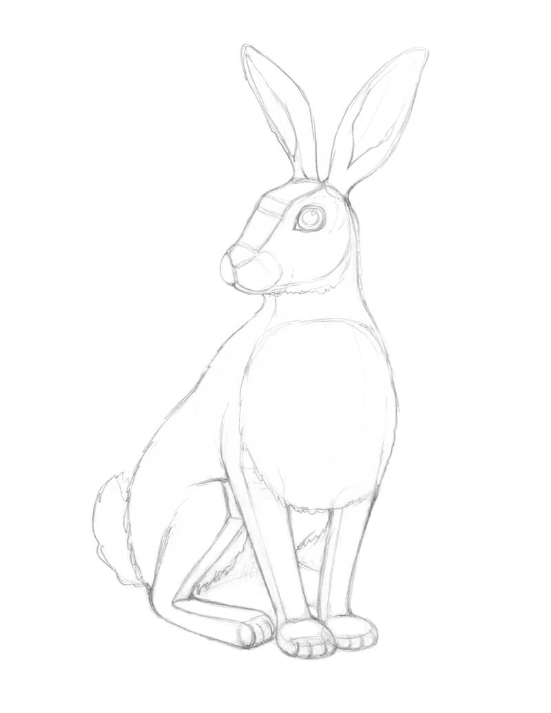 为一只兔子的铅笔画添加细节