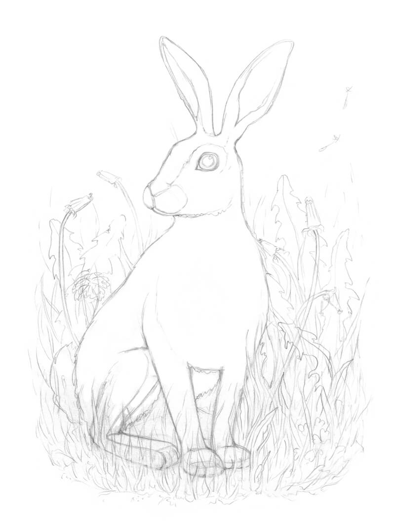 在兔子前面绘制前景中的元素