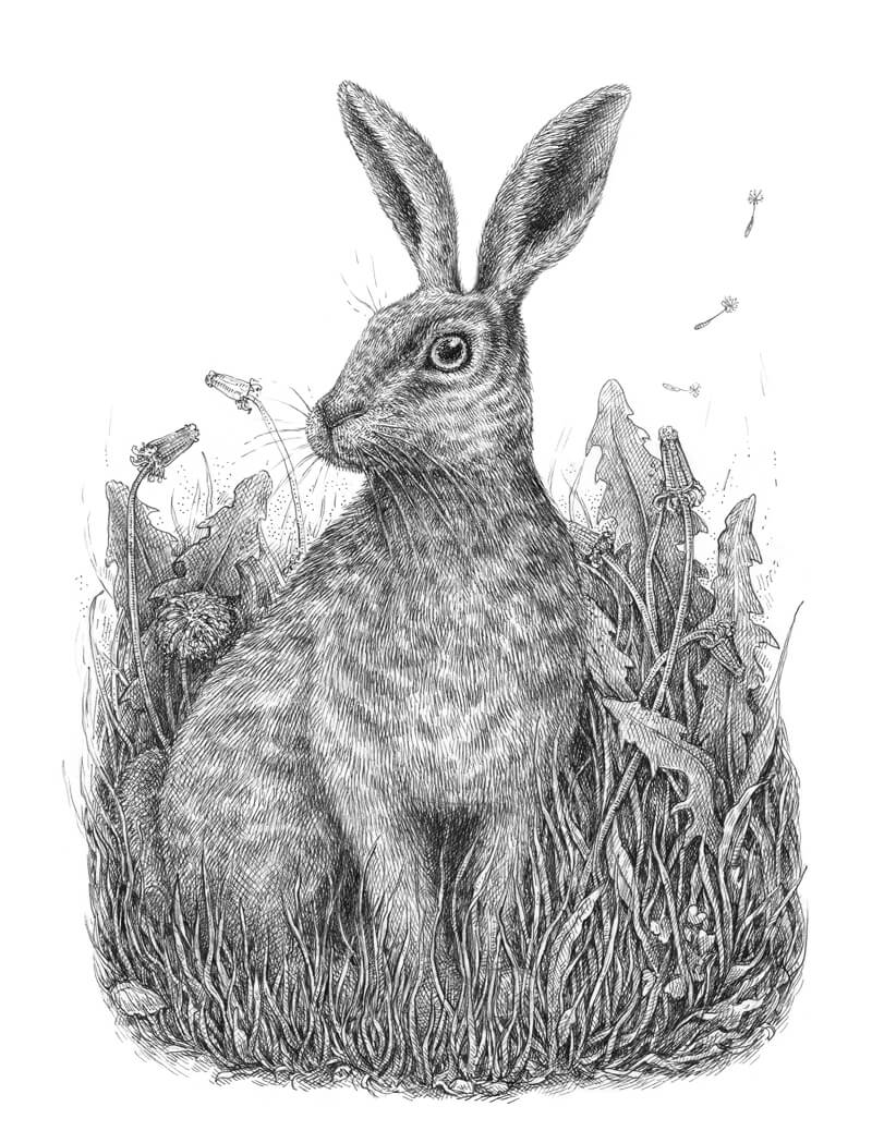 笔墨画的兔子