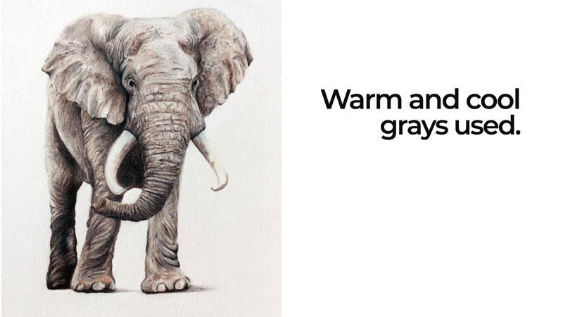 彩色铅笔画与冷和温暖的灰色