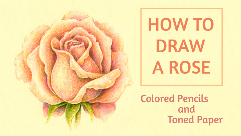 玫瑰彩笔在调色纸上绘画