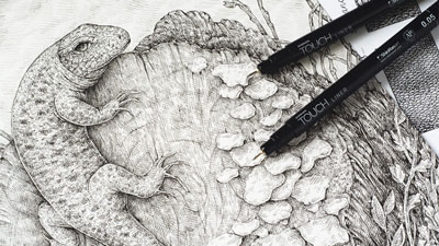 如何用钢笔和墨水画一只蜥蜴