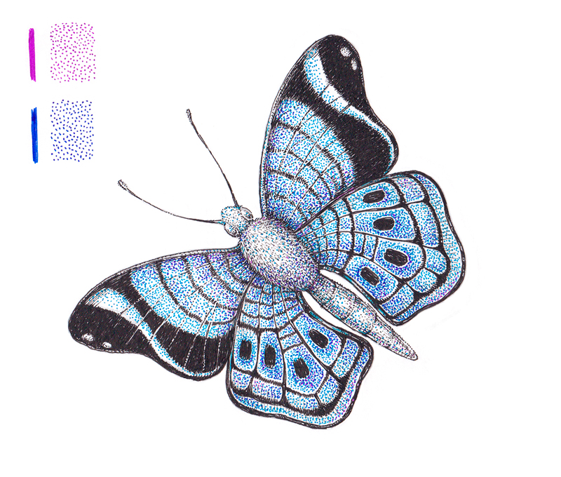 彩色的笔和墨水画的一只蝴蝶