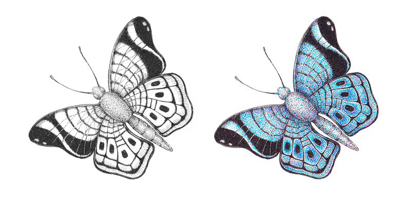 黑色和白色墨水画一只蝴蝶一幅色彩斑斓的画卷