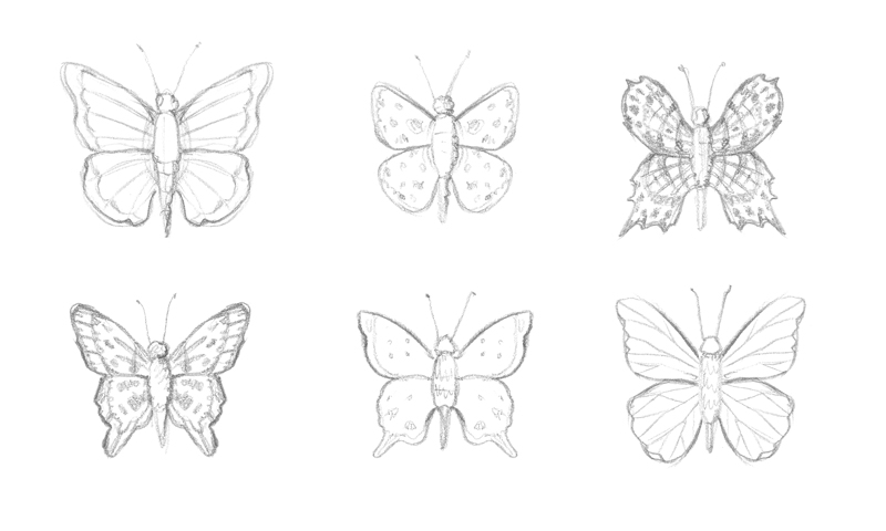 铅笔素描的蝴蝶
