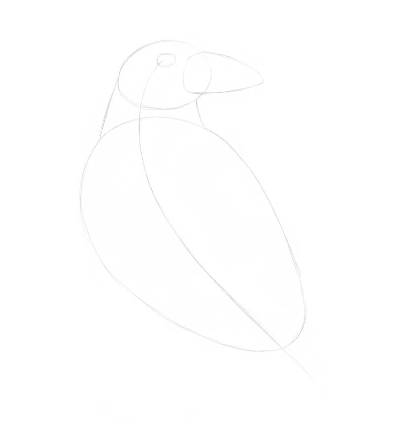 画出乌鸦的大致形状