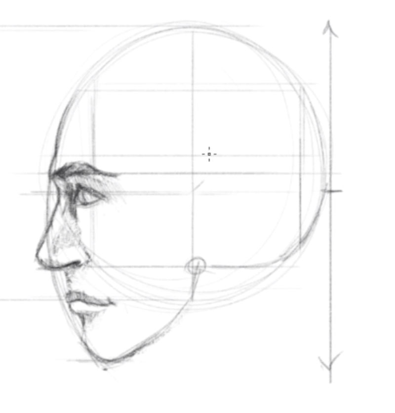 如何画一脸概要视图- - 5步画出面部特征和添加阴影