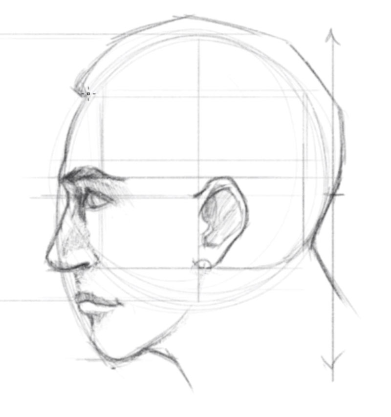 如何画脸侧面- - 6步画耳朵的一侧脸