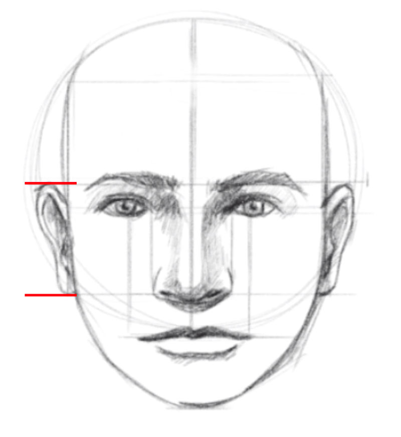 如何画一脸- - 8步画耳朵
