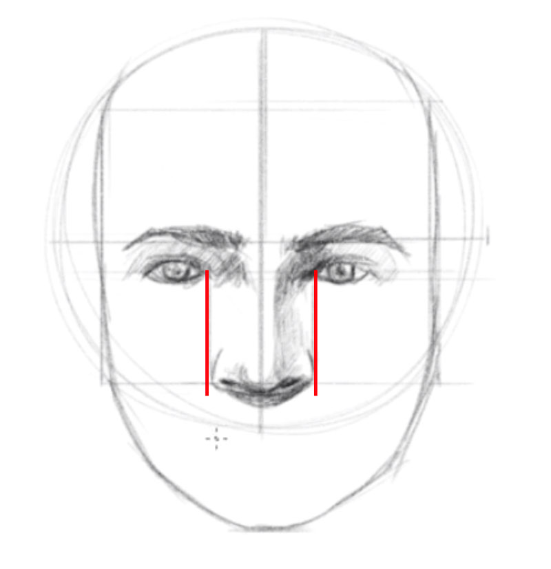 如何画一脸的正面- - 6步定位和画鼻子