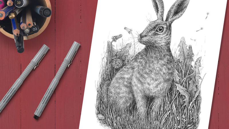 如何用钢笔和墨水画一只兔子
