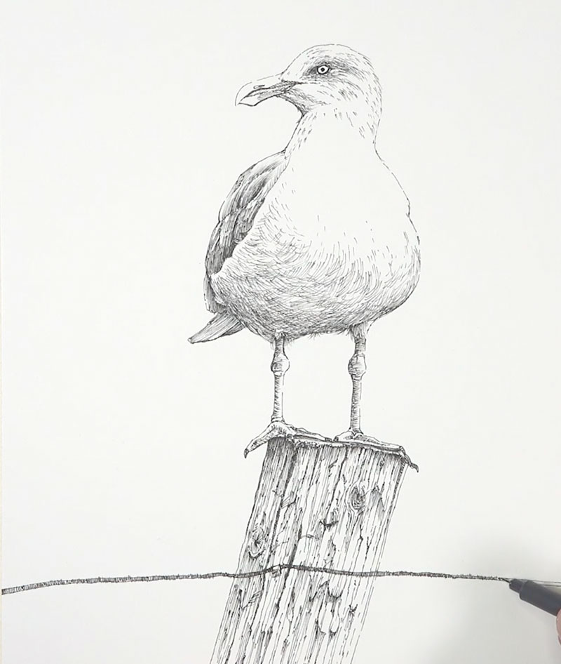 围栏柱子上的一只海鸥的笔墨画