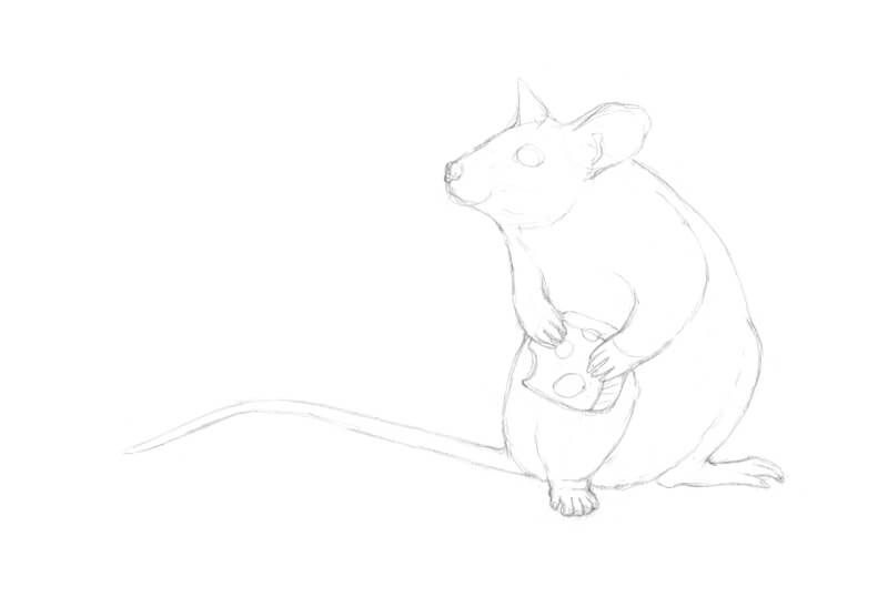 一只老鼠的完整草图