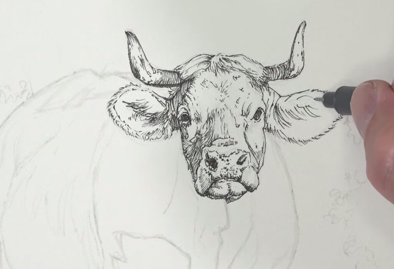 用墨水画牛头