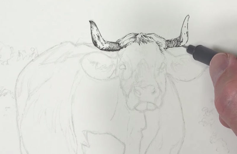 笔墨应用在牛的头部