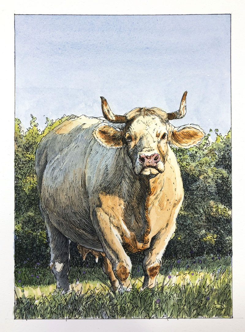 笔墨水彩画一头牛