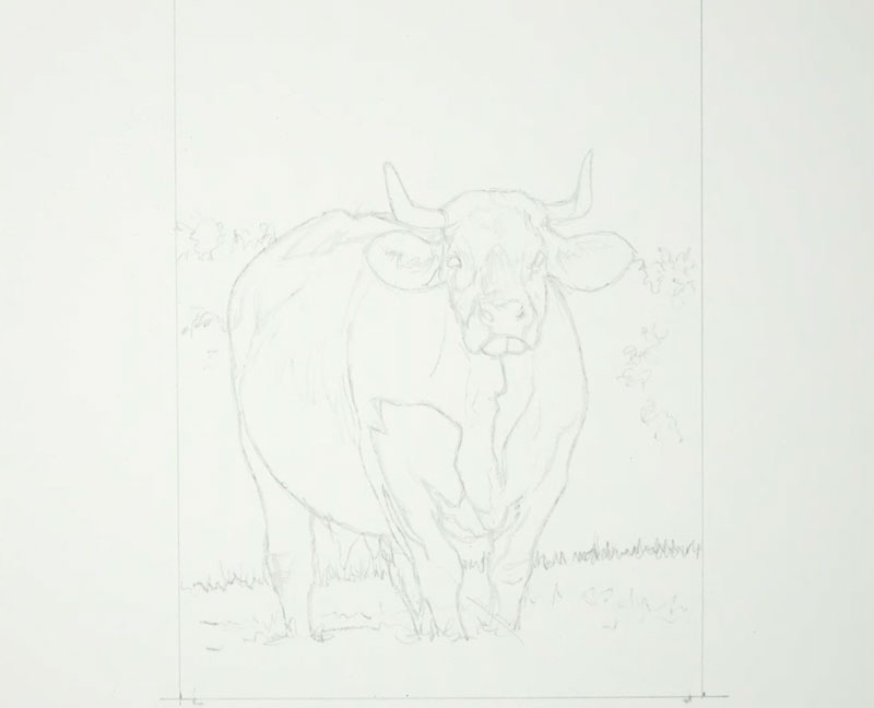 用铅笔画了一头牛在田里