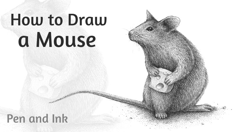 如何用钢笔和墨水画一只老鼠