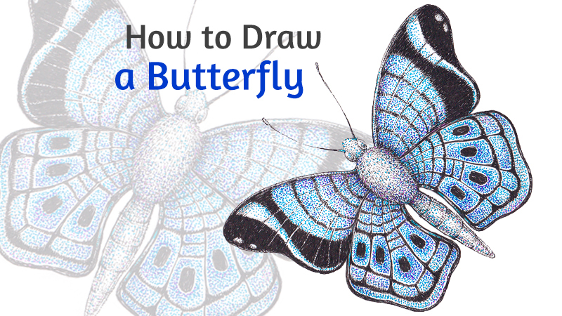 如何用钢笔和墨水画一只蝴蝶吗