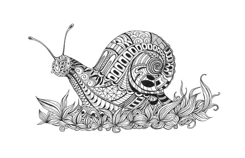 用墨水画蜗牛的冥想涂鸦