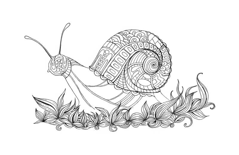 在蜗牛头上画图案