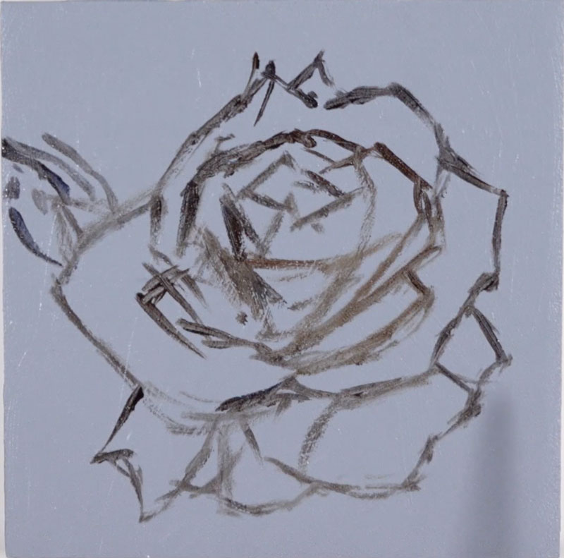 用油画勾勒玫瑰的轮廓