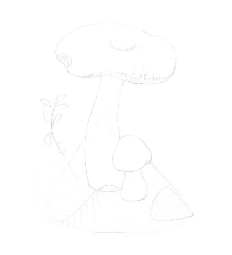 精炼蘑菇的素描