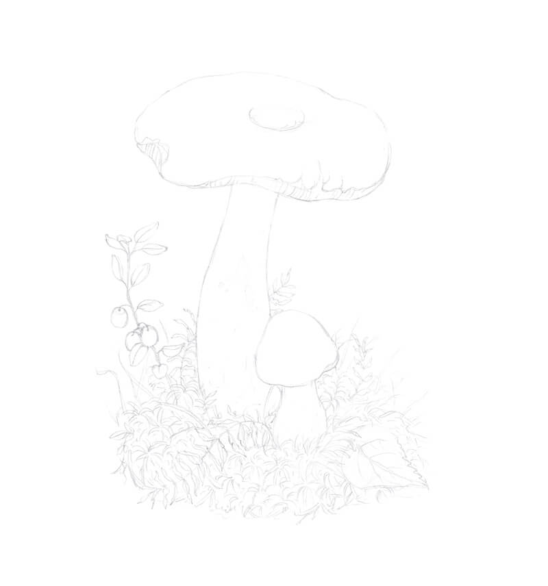 完成一个蘑菇的铅笔素描