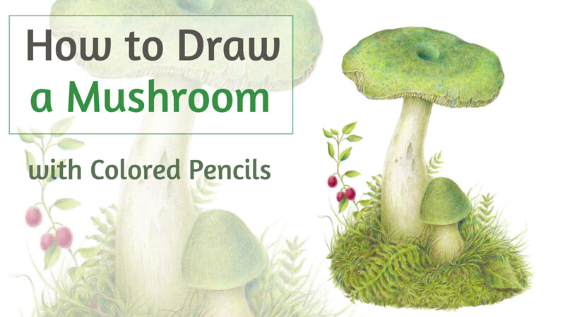 如何用彩色铅笔画蘑菇