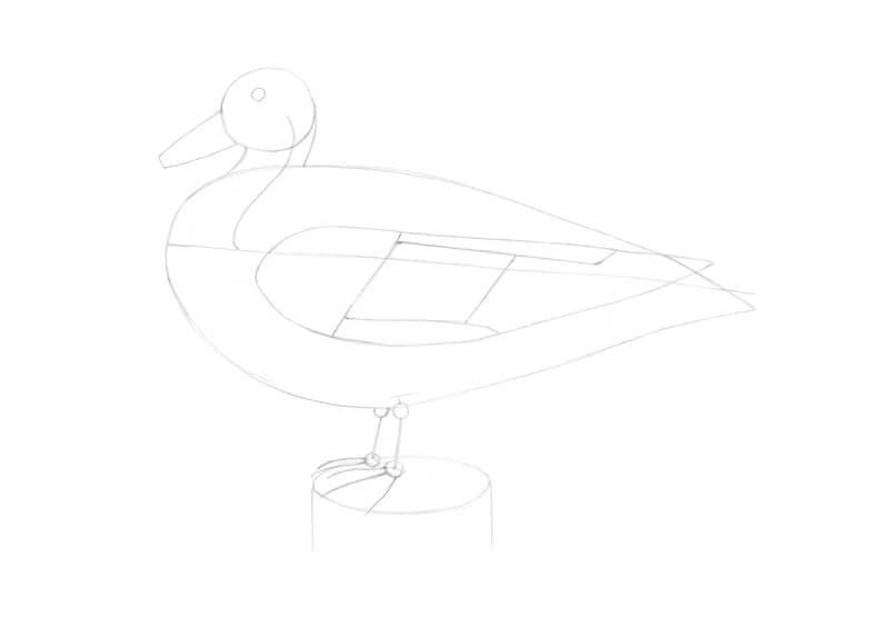 用铅笔画鸭子的翅膀