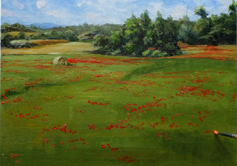 画红色的花和草堆在风景中