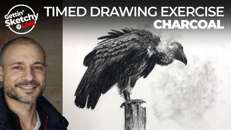 如何用木炭画秃鹫-计时绘画练习