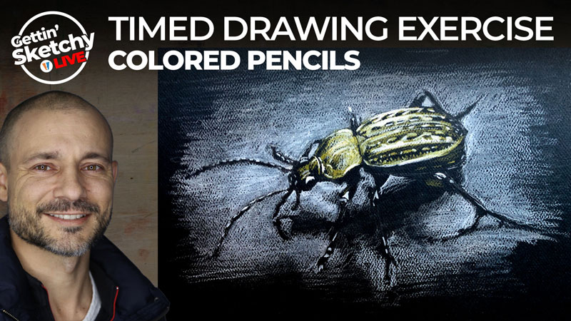 用彩色铅笔画虫子-定时绘图练习