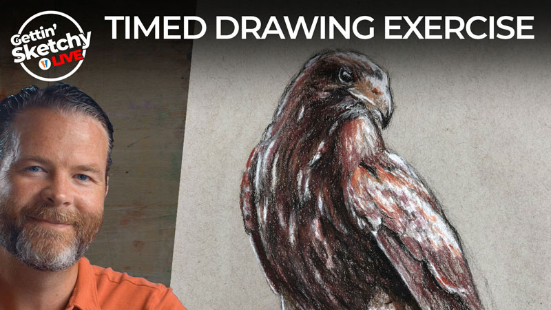 如何画一只鹰-计时绘画练习