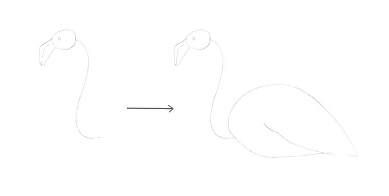 用来画火烈鸟的基本形状和线条