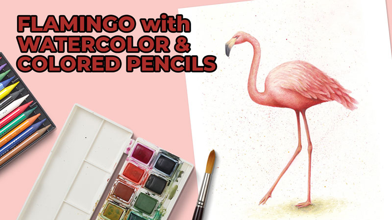 如何用水彩和彩色铅笔画一只火烈鸟