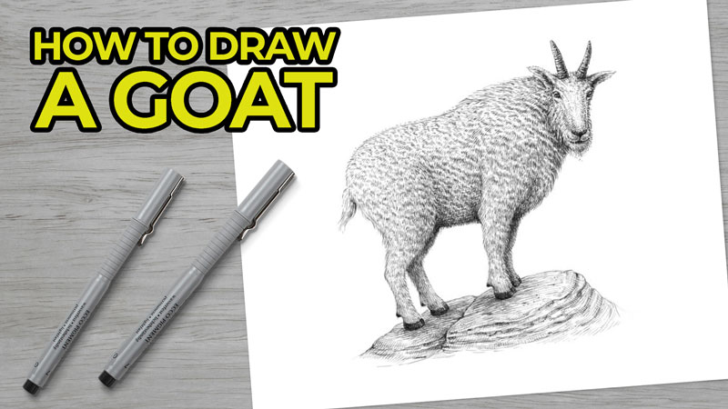 如何用钢笔和墨水画一只山羊吗