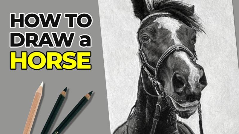 如何用木炭画一匹马吗