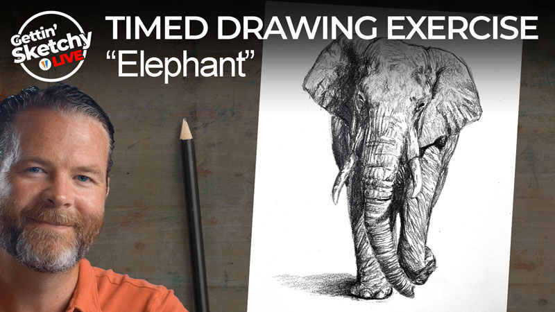 用铅笔画大象练习